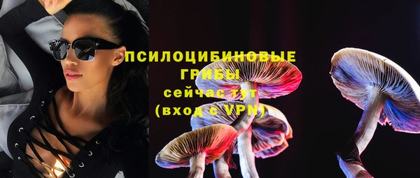 соль ск Алексеевка