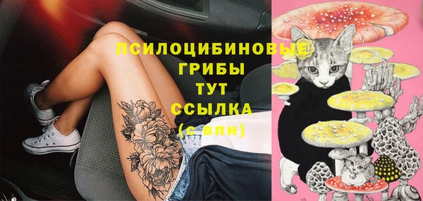 спиды Алексин