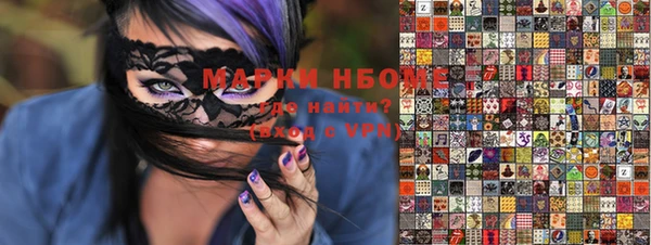 прущие грибы Алзамай