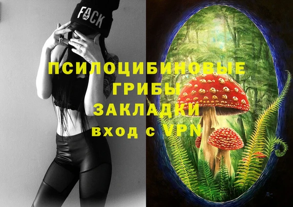 прущие грибы Алзамай